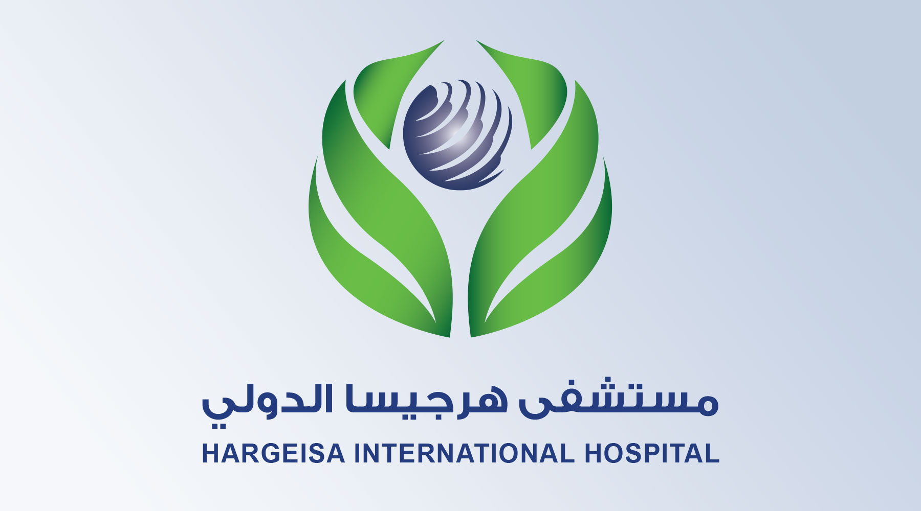 مستشفى هرجيسا الدولي